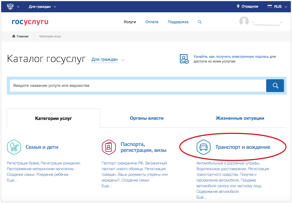 Наименование госуслуги что это. Где раздел услуги на госуслугах. Регион госуслуги. Госуслуги регистрация.